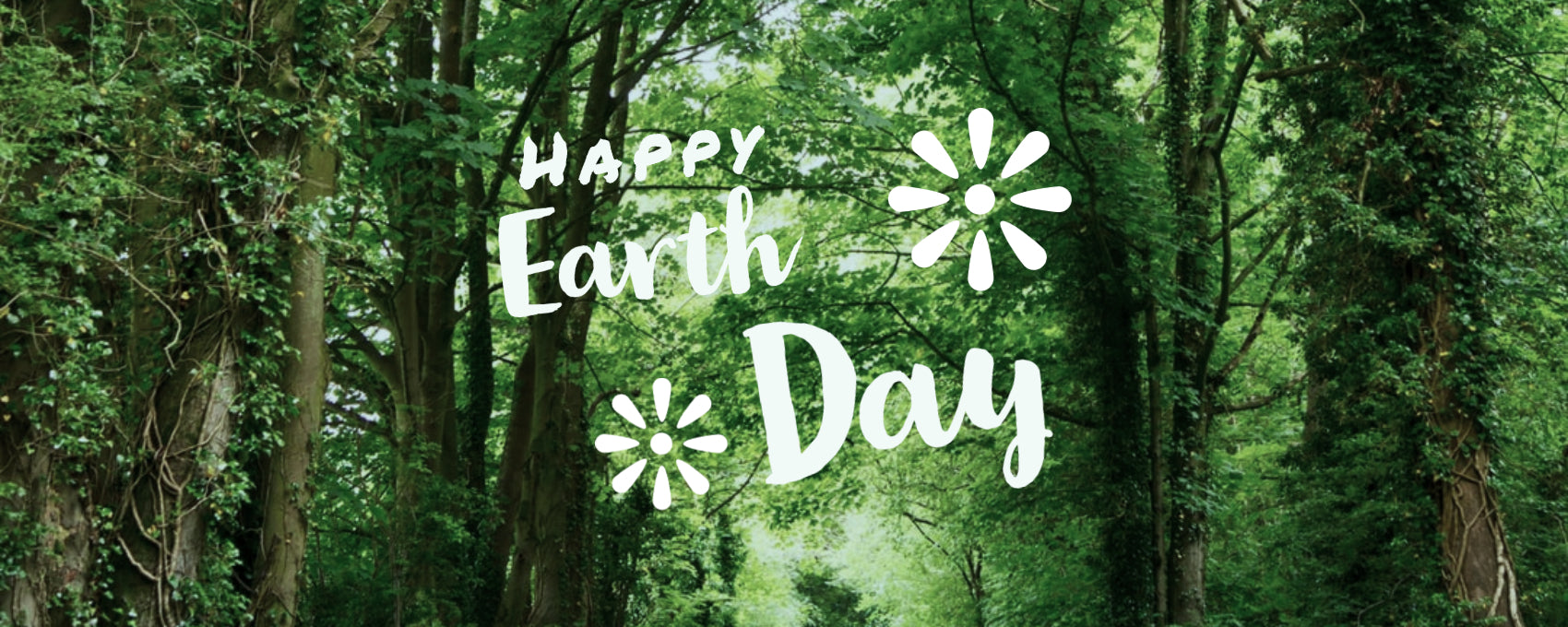 Eco-Friendly Choices on Earth Day & Every Day!