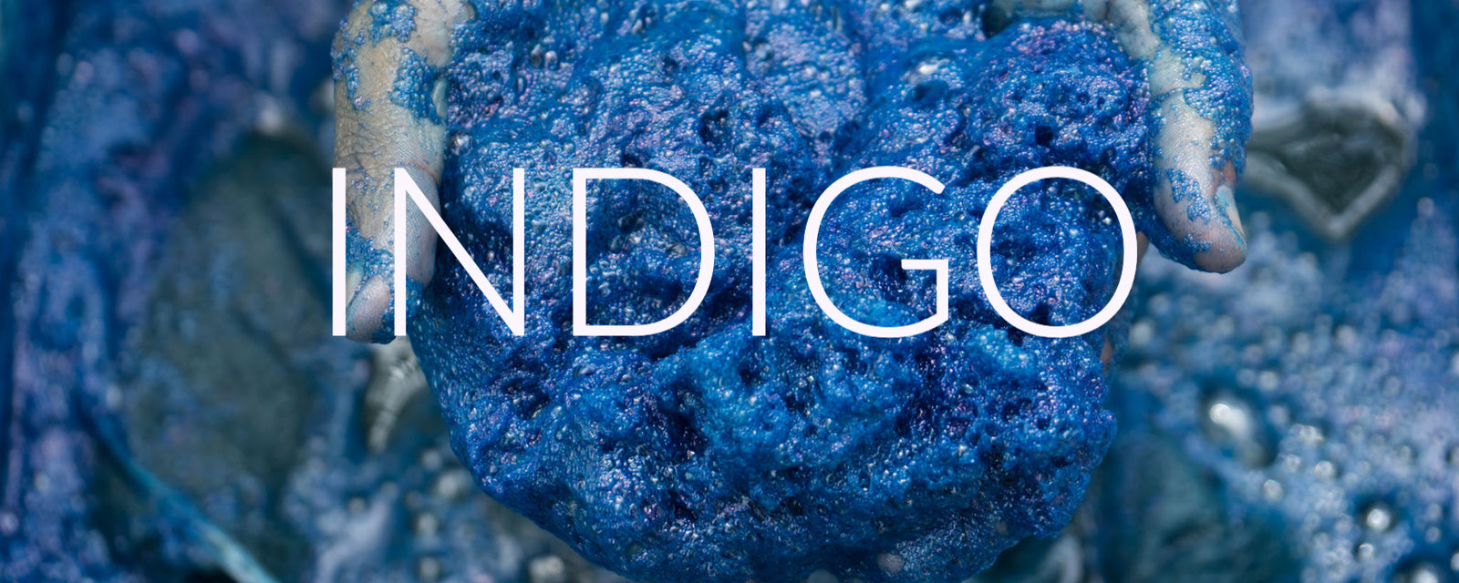 Introspective Indigo