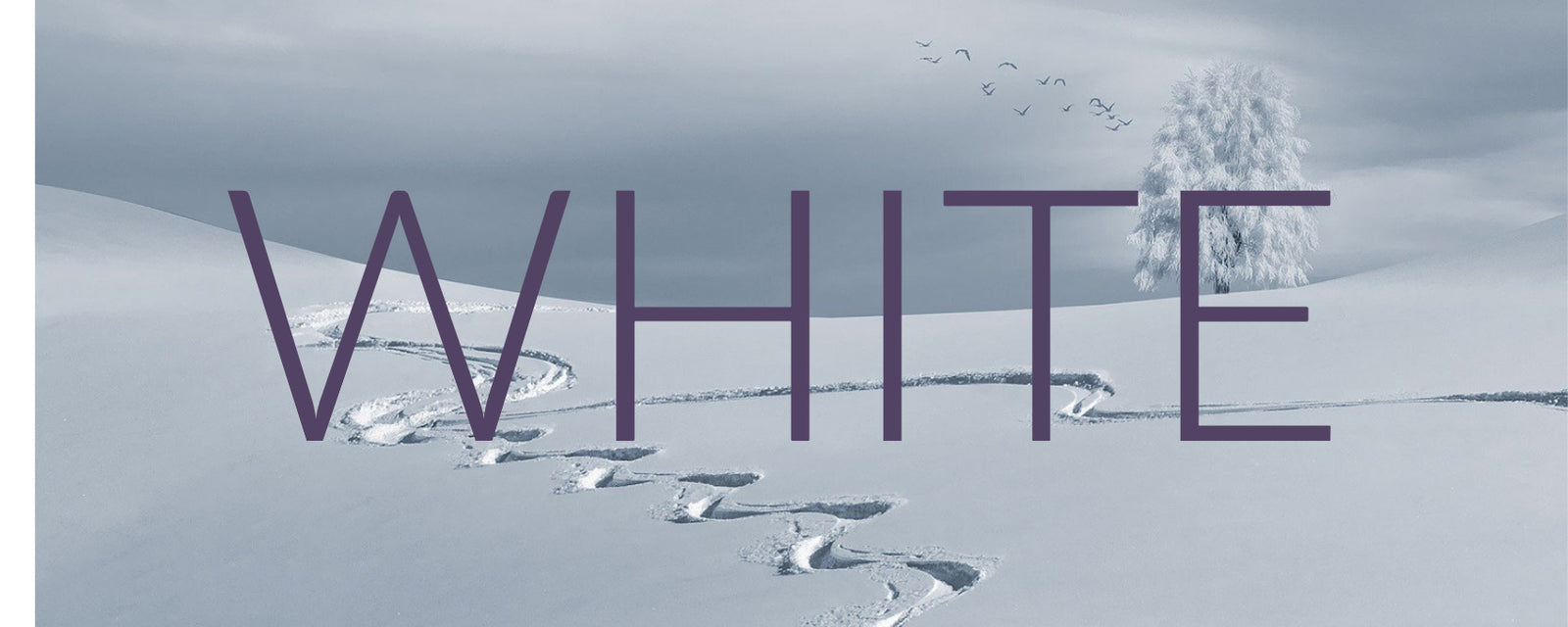 Renewing and Refreshing with White 